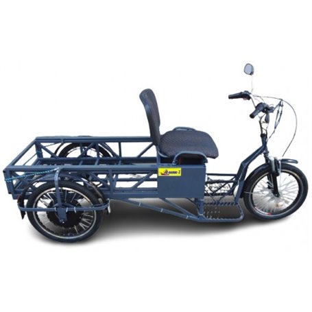 Электроскутер трёхколёсный, грузопассажирский Равлик-2