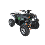 Полноприводный электрический квадроцикл Вольта Тайфун 4х4